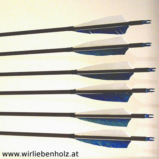 Carbon Arrows Spine 500