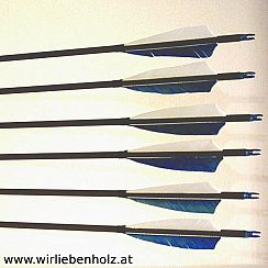 Carbon Arrows Spine 500