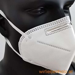 Staubschutzmaske KN95 FFP2 10er